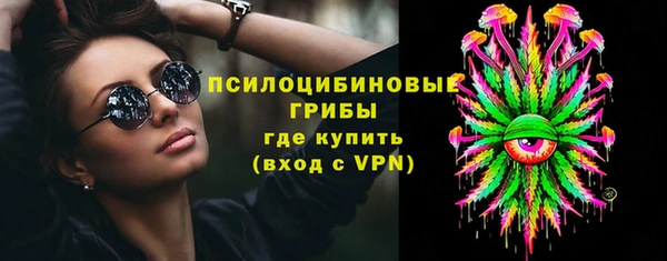 индика Переславль-Залесский
