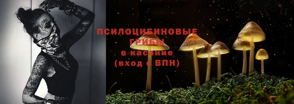 индика Пересвет