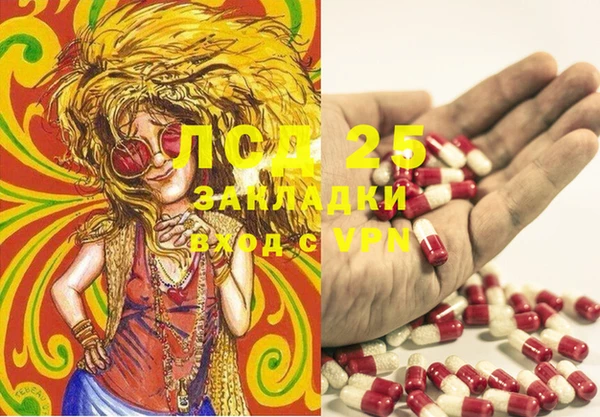 спиды Осинники
