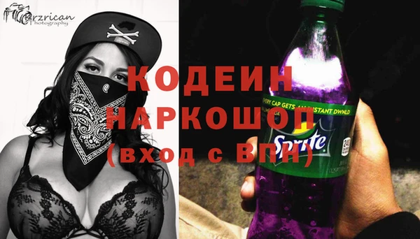 индика Пересвет