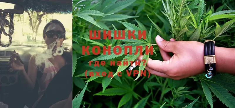 Марихуана SATIVA & INDICA  Курлово 